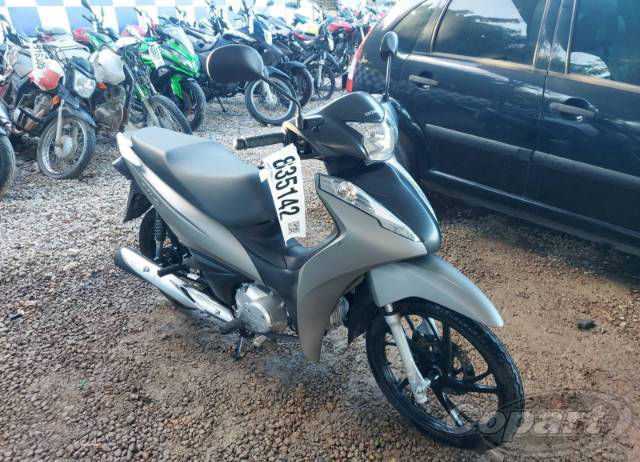 BIZ 125 2023